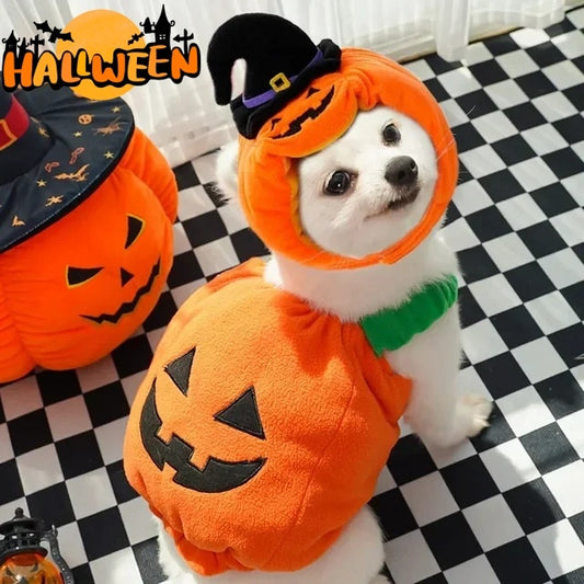 Halloween Pumpkin Pet Costume Vest – Funny Holiday Outfit for Dogs & Cats | Festive Harness for Small Pets