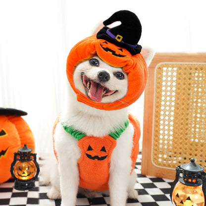 Halloween Pumpkin Pet Costume Vest – Funny Holiday Outfit for Dogs & Cats | Festive Harness for Small Pets