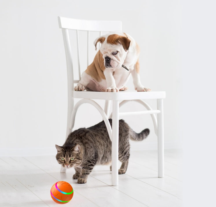 Smart Interactive Cat Ball Toy