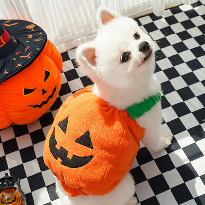Halloween Pumpkin Pet Costume Vest – Funny Holiday Outfit for Dogs & Cats | Festive Harness for Small Pets